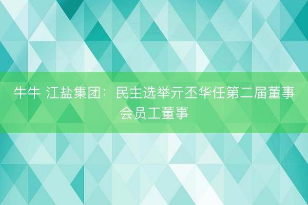 牛牛 江盐集团：民主选举亓丕华任第二届董事会员工董事