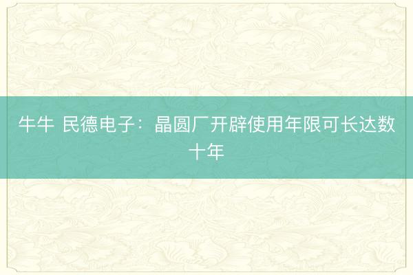 牛牛 民德电子：晶圆厂开辟使用年限可长达数十年