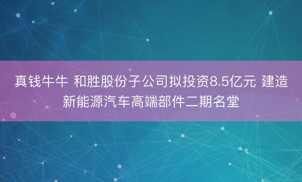 真钱牛牛 和胜股份子公司拟投资8.5亿元 建造新能源汽车高端部件二期名堂