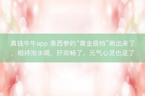 真钱牛牛app 泰西参的“黄金搭档”揪出来了，相持泡水喝，肝欢畅了，元气心灵也足了