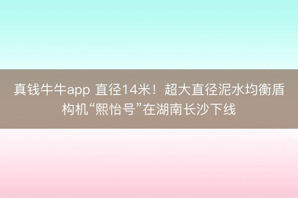 真钱牛牛app 直径14米！超大直径泥水均衡盾构机“熙怡号”在湖南长沙下线