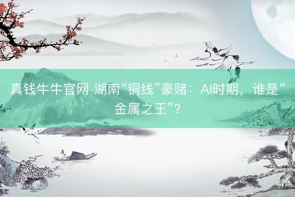 真钱牛牛官网 湖南“铜线”豪赌：AI时期，谁是“金属之王”？