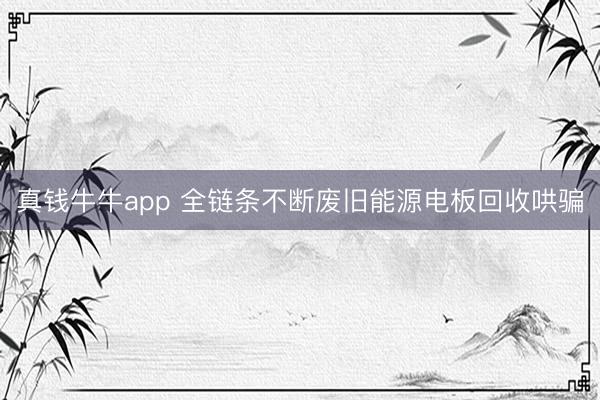 真钱牛牛app 全链条不断废旧能源电板回收哄骗