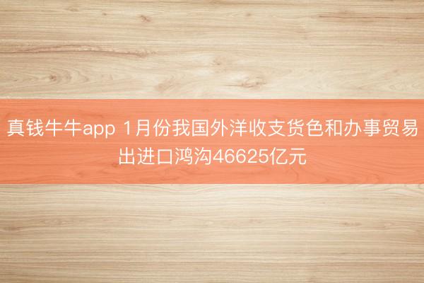 真钱牛牛app 1月份我国外洋收支货色和办事贸易出进口鸿沟46625亿元