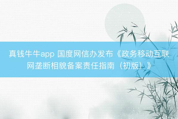 真钱牛牛app 国度网信办发布《政务移动互联网垄断相貌备案责任指南(初版)》