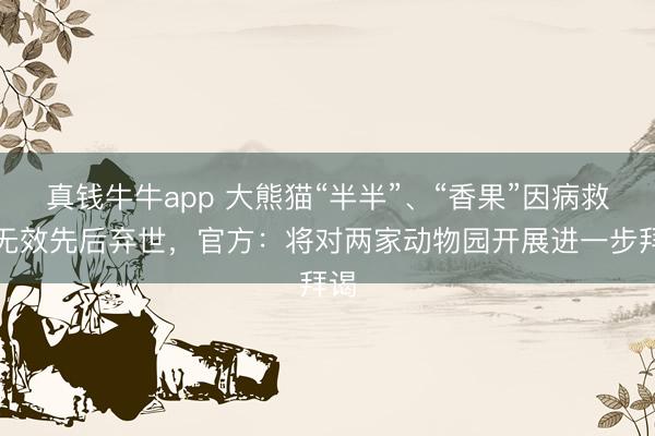真钱牛牛app 大熊猫“半半”、“香果”因病救治无效先后弃世，官方：将对两家动物园开展进一步拜谒