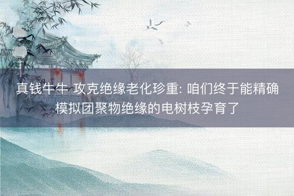 真钱牛牛 攻克绝缘老化珍重: 咱们终于能精确模拟团聚物绝缘的电树枝孕育了