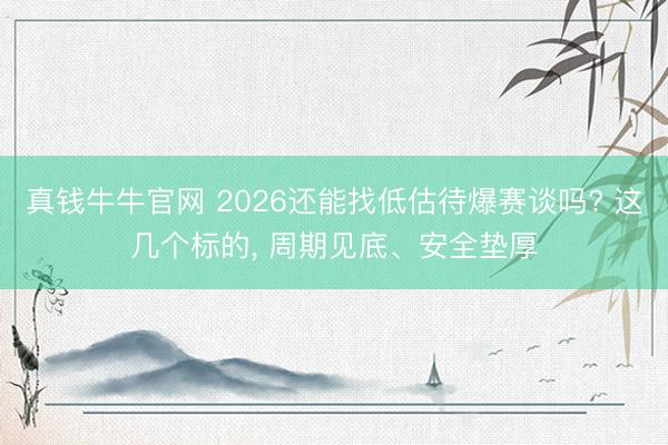 真钱牛牛官网 2026还能找低估待爆赛谈吗? 这几个标的， 周期见底、安全垫厚