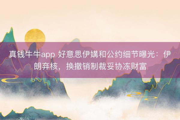 真钱牛牛app 好意思伊媾和公约细节曝光:伊朗弃核,换撤销制裁妥协冻财富