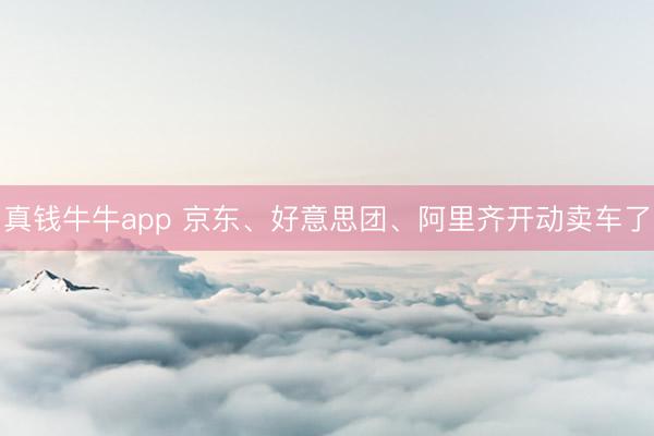 真钱牛牛app 京东、好意思团、阿里齐开动卖车了