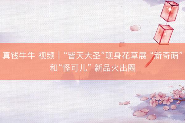 真钱牛牛 视频｜“皆天大圣”现身花草展 “新奇萌”和“怪可儿” 新品火出圈