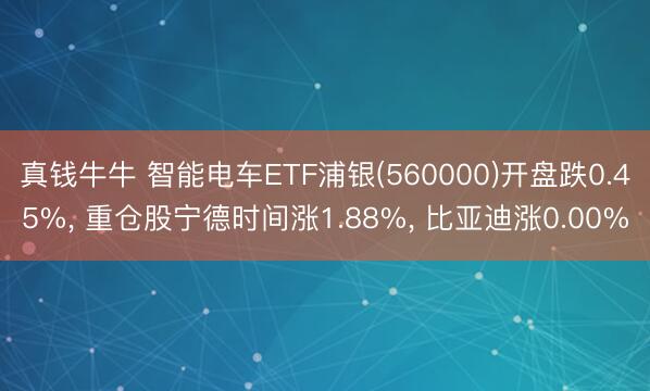 真钱牛牛 智能电车ETF浦银(560000)开盘跌0.45%, 重仓股宁德时间涨1.88%, 比亚迪涨0.00%