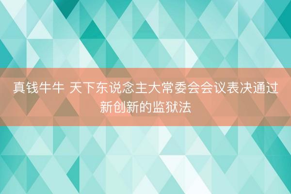 真钱牛牛 天下东说念主大常委会会议表决通过新创新的监狱法