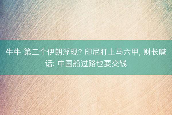 牛牛 第二个伊朗浮现? 印尼盯上马六甲， 财长喊话: 中国船过路也要交钱