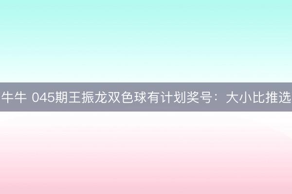 牛牛 045期王振龙双色球有计划奖号：大小比推选