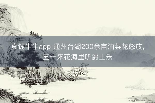 真钱牛牛app 通州台湖200余亩油菜花怒放，五一来花海里听爵士乐
