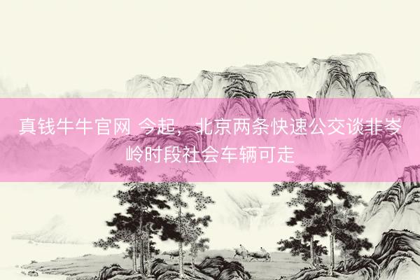 真钱牛牛官网 今起，北京两条快速公交谈非岑岭时段社会车辆可走